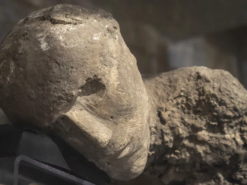 Los cuerpos de la tragedia mejor estudiada de la antigüedad encuentran un nuevo hogar en Pompeya