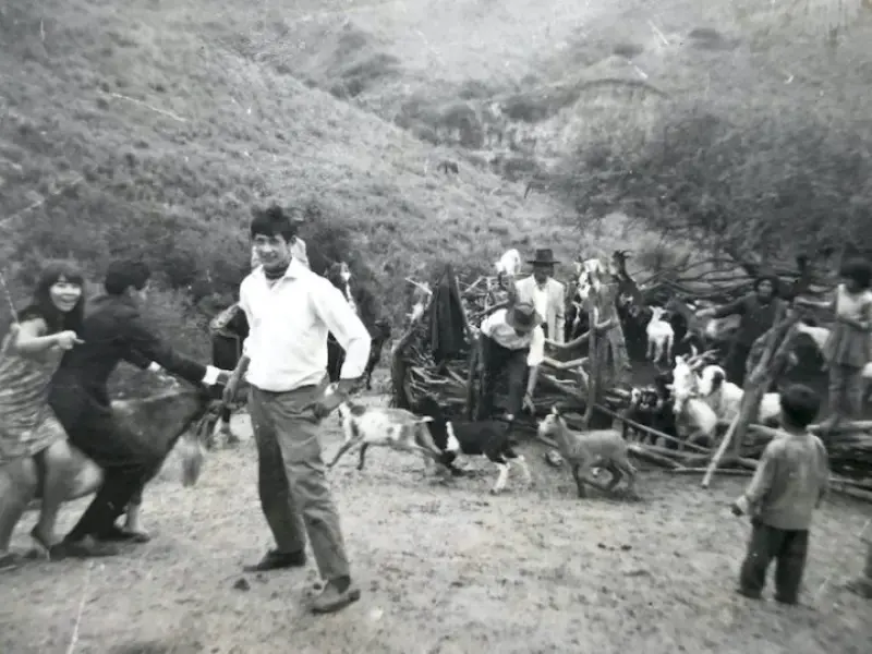 El D'A programará los nuevos filmes de Hong Sangsoo, Tsai Ming Liang, Valerie Donzelli y Lucrecia Martel      